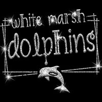 GLT90 SILVER GLITTER Thumbnail